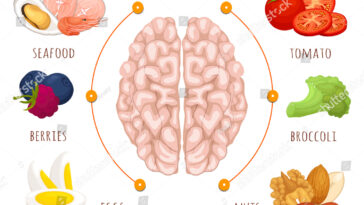 10 Best Foods to Boost Your Brain and Memory