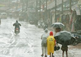 Monsoon tracker: IMD predicts extremely heavy rainfall in these states today.