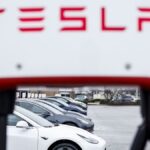 Tesla to discuss India factory for Rs 20 lakh EV with commerce minister: Report