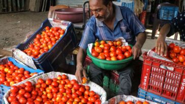Centre cuts price of subsidised tomato to Rs 70 per kg.