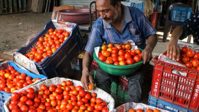 Centre cuts price of subsidised tomato to Rs 70 per kg.
