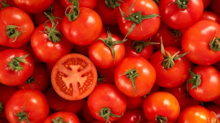 Government-authorised minivan locations where you can find tomatoes at ₹80 KG
