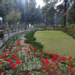 Company Garden: A Blossoming Paradise in Mussoorie