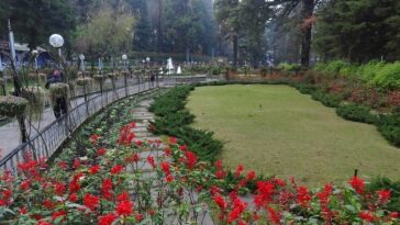 Company Garden: A Blossoming Paradise in Mussoorie