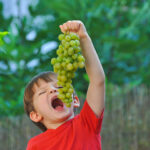 Amazing Benefits Of Grapes For Health And Skin