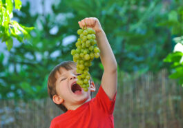 Amazing Benefits Of Grapes For Health And Skin