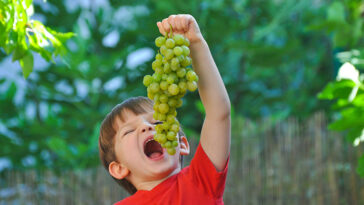 Amazing Benefits Of Grapes For Health And Skin