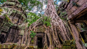 Cambodia: Monsoon Magic Amidst Ancient Temples and Vibrant Culture
