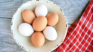 Everything you need to know about eggs