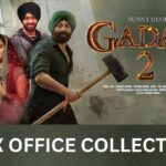 ‘Gadar 2’: Sunny Deol-Ameesha Patel's movie emerges as Box Office sensation; check day collections