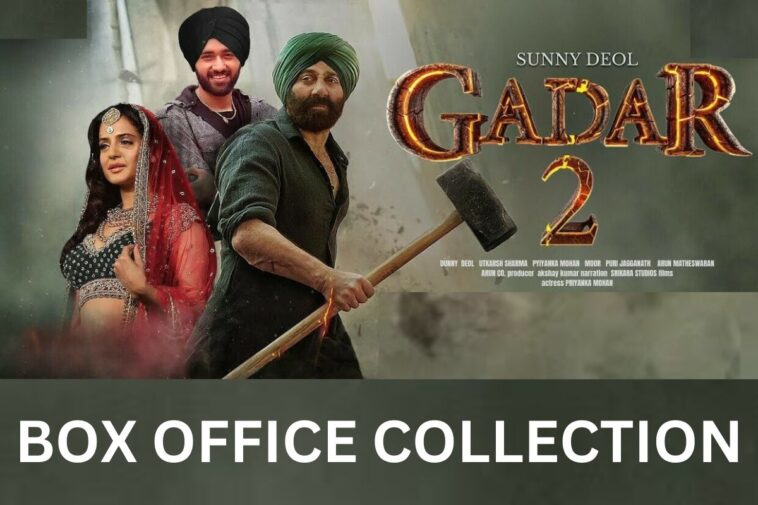 ‘Gadar 2’: Sunny Deol-Ameesha Patel's movie emerges as Box Office sensation; check day collections
