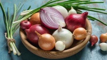 Health Benefits of Onions