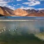 'Jeopardises Harmony': Ladakh BJP Leader Expelled After Son Elopes With Buddhist Woman