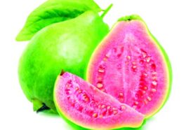 12 Proven Health Benefits of Guavas