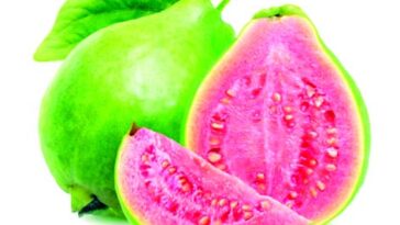 12 Proven Health Benefits of Guavas