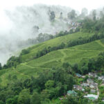 Exploring the Enchanting Beauty of Darjeeling: A Journey to the "Queen of the Hills"
