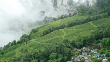 Exploring the Enchanting Beauty of Darjeeling: A Journey to the "Queen of the Hills"