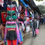 Souvenirs and Splendors: What to Buy from Manali's Enchanting Markets
