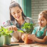 Tips to spruce up your home with plants