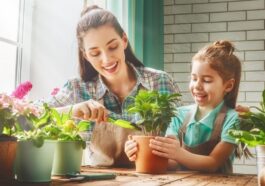 Tips to spruce up your home with plants