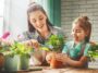 Tips to spruce up your home with plants