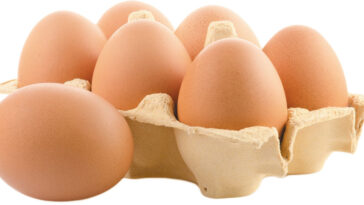 What Happens to Your Body If You Consume Eggs Daily