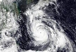 Typhoon Khanun, described as "very strong" by the Japanese weather agency, brought maximum sustained wind speeds of 180 kilometres (112 miles) an hour. One person was reportedly killed and hundreds of thousands were without electricity in southern Japan on Wednesday as a typhoon approached packing powerful winds and lashing rain. This satellite image shows Typhoon Khanun moving north towards Okinawa, southwestern Japan.(AP) This satellite image shows Typhoon Khanun moving north towards Okinawa, southwestern Japan.(AP) Hundreds of flights to Okinawa and other islands in the area were cancelled, stranding thousands of tourists holidaying in the region's tropical beach resorts. Typhoon Khanun, described as "very strong" by the Japanese weather agency, brought maximum sustained wind speeds of 180 kilometres (112 miles) an hour. Okinawa's power company said 220,580 households -- nearly 35 percent of the total in the region -- had no electricity early on Wednesday. An evacuation warning issued across Okinawa and the southern part of Kagoshima region was in place, urging more than 690,000 residents to move to safety, according to the Fire and Disaster Management Agency. The agency said a total of 11 people in Okinawa were mildly injured. A 90-year-old man died after being trapped under a collapsed garage on Tuesday evening, public broadcaster NHK reported, adding that strong winds were probably the cause. PROMOTED Hearing Aids that can help You Hearing Aid | Search Ads | Sponsored 3 & 4 Bed Homes Starting at ₹ 2.99 Cr in Noida Godrej Tropical | Sponsored Nuh to Gurugram: The spread of violence Hindustan Times Born between 1970 - 1990? Check eligibility for ₹1 Cr term plan** Free Term Insurance Calculator | Sponsored ‘Don't want luxury': Hardik Pandya slams West Indies cricket board for not making ‘basic arrangements’ for Team India Hindustan Times Delhi: Click Here To See The Price Of Solar Panels Solar Panels | Search Ads | Sponsored As A Single Mother, I Am Unable To Save My Daughter Alone! Ketto | Sponsored Belly Fat Removal Without Surgery In Delhi: The Price Might Surprise You Affordable Liposuction | Sponsored The Japan Meteorological Agency warned of flooding and landslides in some parts of the main island of Okinawa. The typhoon was about 70 kilometres south of Okinawa's remote Kumejima island at 2300 GMT and was moving west-northwest, according to the JMA. It was expected to cross to eastern China later in the week. More than 400 flights were cancelled on Wednesday, according to NHK, affecting more than 65,000 passengers. On Tuesday, tourists made long queues at the main Naha airport, hoping to get back home. "We haven't been able to secure a hotel and we don't know when the return flight can be booked," Minako Kawakami told local daily Okinawa Times.