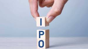 Zaggle Prepaid Ocean Services raises Rs 73 crore via private placement ahead of IPO launch