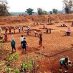 Mono Pharmacare to launch IPO on August 28, price band at Rs 26-28 per share