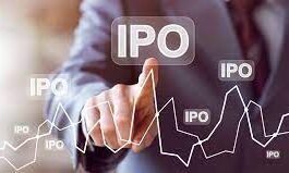 How to Find The Right IPO to Invest In