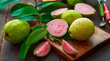 Health Benefits of Eating Guava