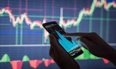 August inflows: India defies market volatility with strong foreign investment