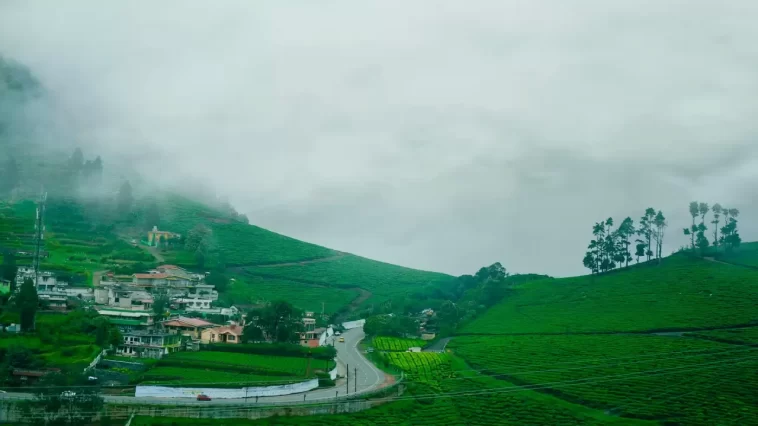 Exploring the Beauty of Ooty, Tamil Nadu