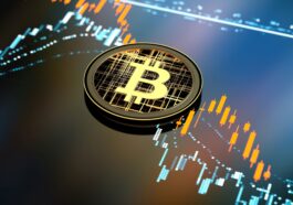 A Beginner's Guide to Cryptocurrency in India