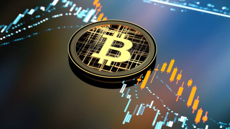 A Beginner's Guide to Cryptocurrency in India