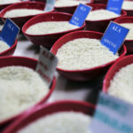 Primary market stays upbeat with 4 IPOs lined up to raise Rs 1,350 crore next week