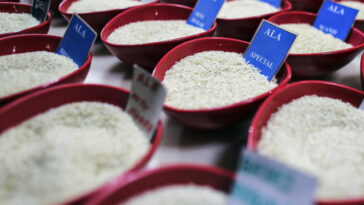 Primary market stays upbeat with 4 IPOs lined up to raise Rs 1,350 crore next week