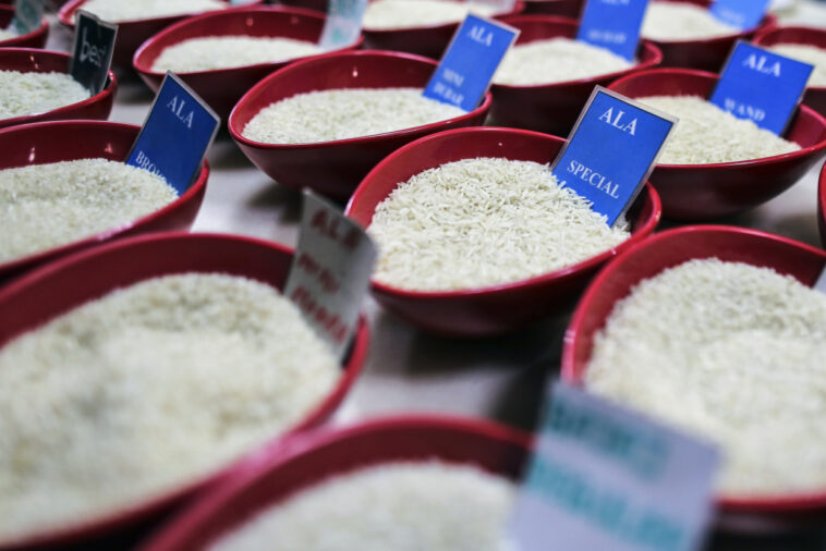 Primary market stays upbeat with 4 IPOs lined up to raise Rs 1,350 crore next week