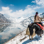 Adventure and Relaxation: Activities to Do in Gangtok