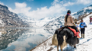 Adventure and Relaxation: Activities to Do in Gangtok