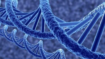 The Basics of Genetics