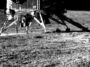New Moon viewing! Pragyan rover posted 3D moon image