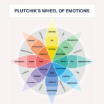 The 6 Types of Basic Emotions and Their Effect on Human Behavior
