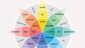 The 6 Types of Basic Emotions and Their Effect on Human Behavior