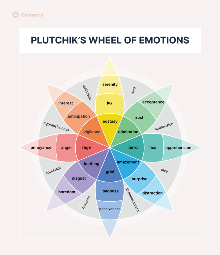 The 6 Types of Basic Emotions and Their Effect on Human Behavior