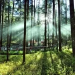 Lansdowne, Uttarakhand: A Serene Himalayan Retreat