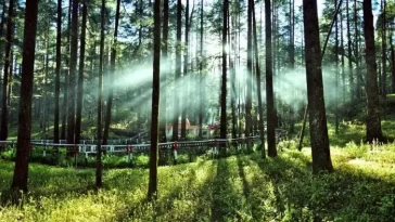 Lansdowne, Uttarakhand: A Serene Himalayan Retreat