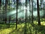 Lansdowne, Uttarakhand: A Serene Himalayan Retreat