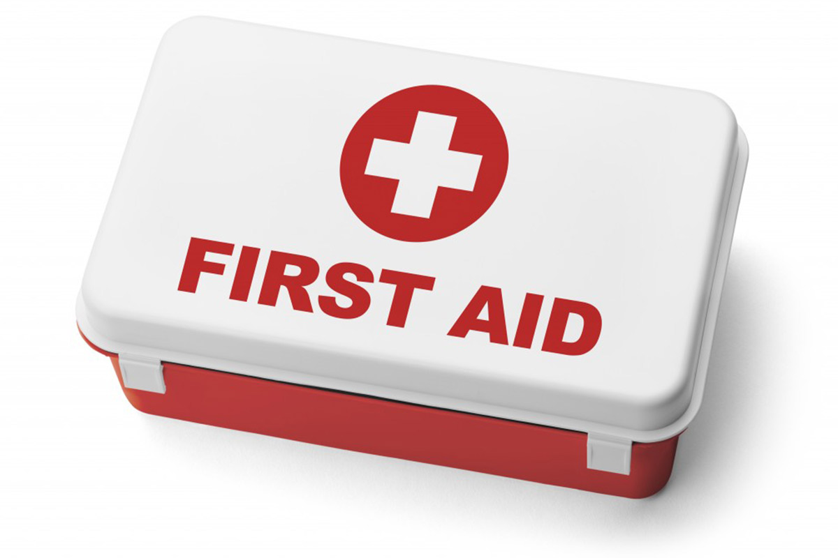 Why First Aid Mandatory in Every Home?