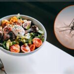 Foods To Eat When Recovering From Dengue Fever